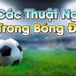 thuật ngữ cá độ bóng đá
